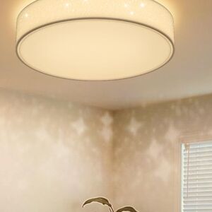 Round White LED Ceiling Light Fixture